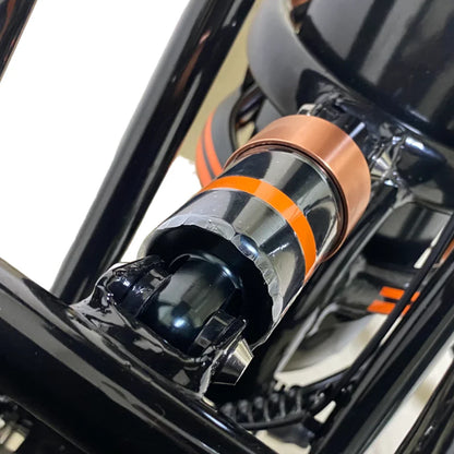 Kugoo Kirin V5 Electric Bike