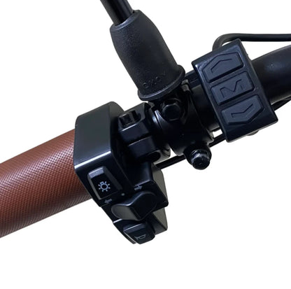 Kugoo Kirin V5 Electric Bike